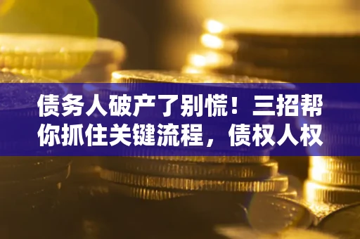 北京债务人破产了别慌！三招帮你抓住关键流程，债权人权益不再缩水