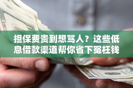 北京担保费贵到想骂人？这些低息借款渠道帮你省下冤枉钱