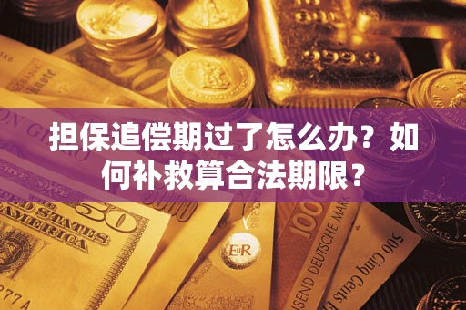 北京担保追偿期过了怎么办？如何补救算合法期限？