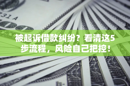 北京被起诉借款纠纷？看清这5步流程，风险自己把控！